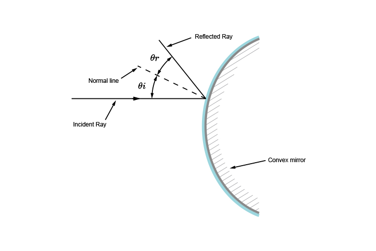 Ray diagram showing when a ray reflects off a convex surface the angle between the incident and normal is equal the the angle between the reflected and normal.